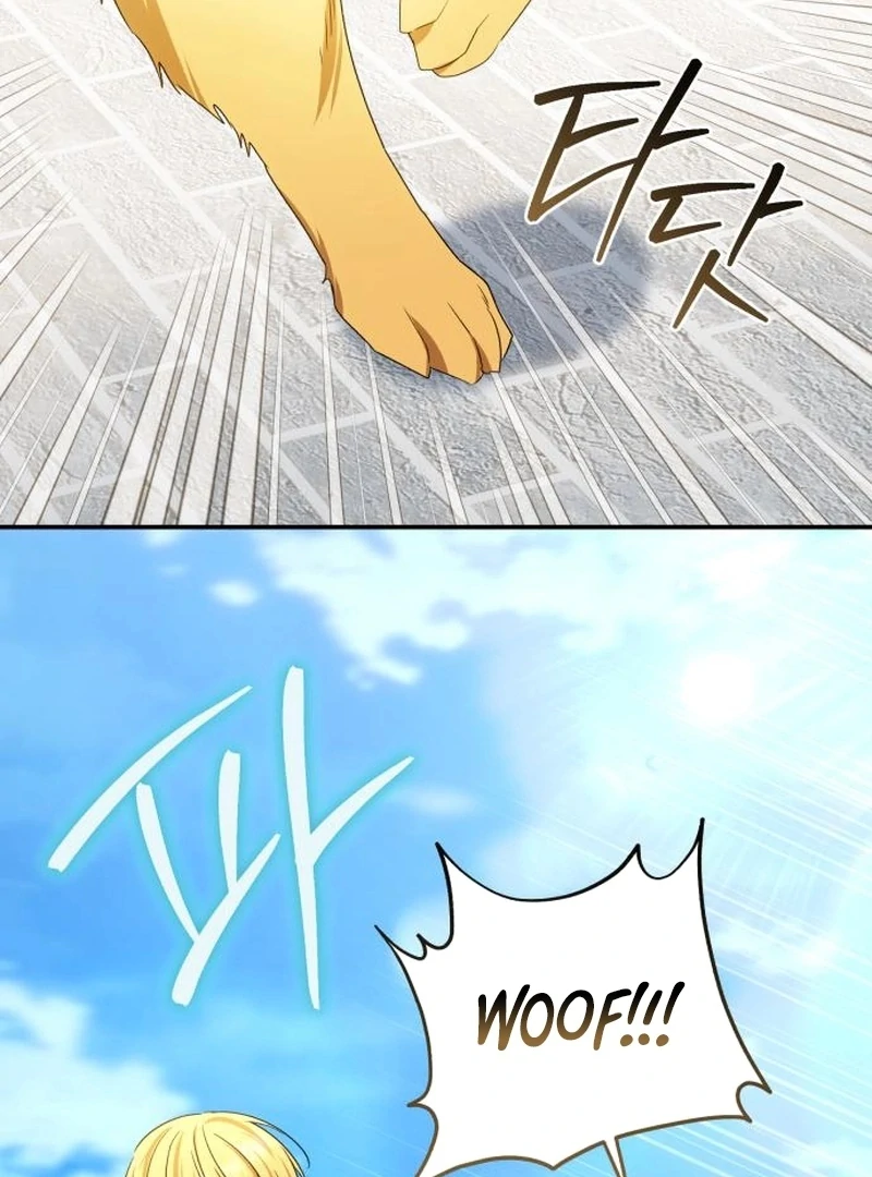 Read My Husband Was Stolen Twice Manga Online