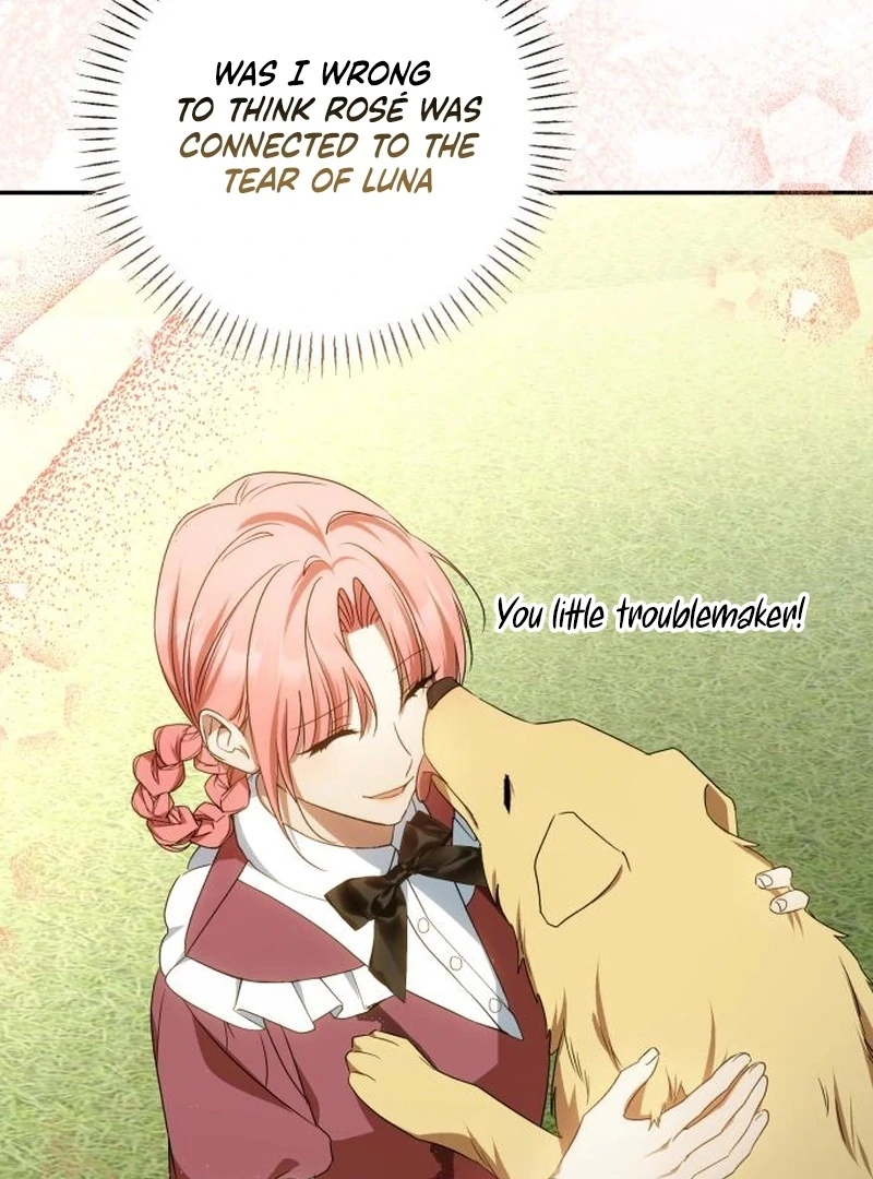 Read My Husband Was Stolen Twice Manga Online