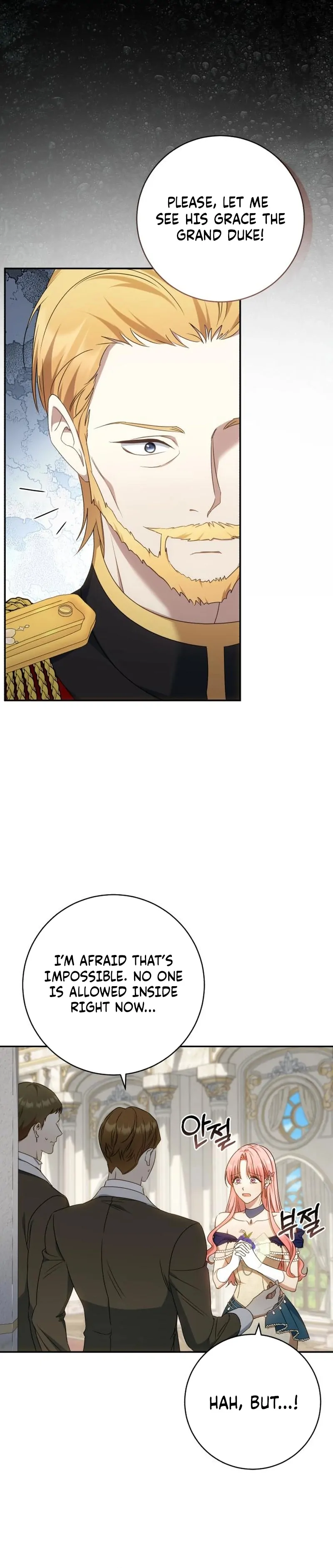 Read My Husband Was Stolen Twice Manga Online