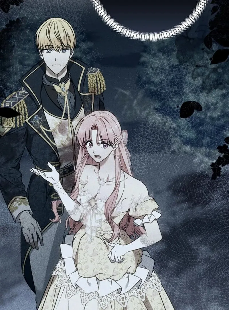 Read My Husband Was Stolen Twice Manga Online