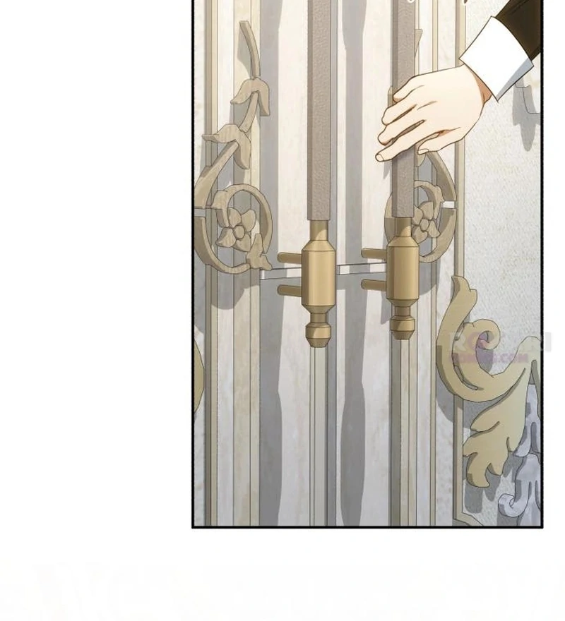 Read My Husband Was Stolen Twice Manga Online