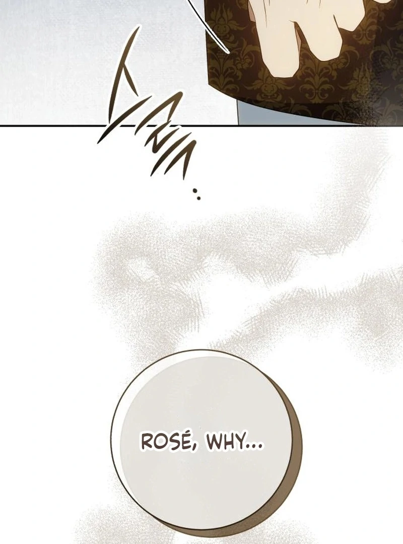 Read My Husband Was Stolen Twice Manga Online