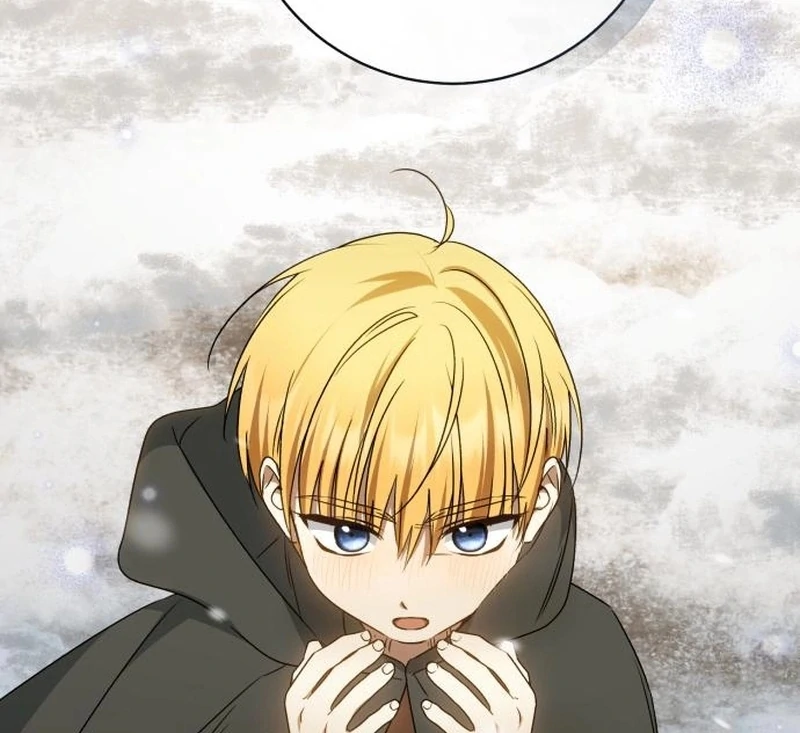 Read My Husband Was Stolen Twice Manga Online