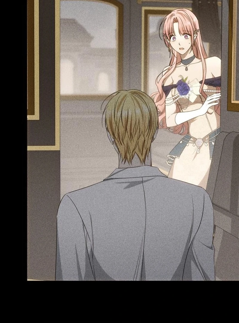 Read My Husband Was Stolen Twice Manga Online