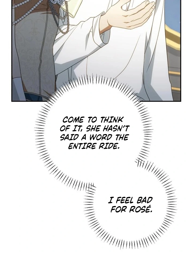 Read My Husband Was Stolen Twice Manga Online