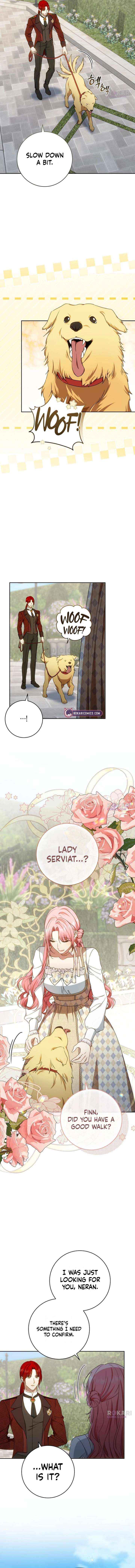 Read My Husband Was Stolen Twice Manga Online