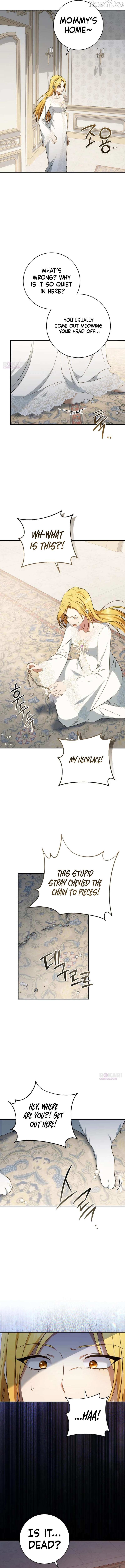 Read My Husband Was Stolen Twice Manga Online