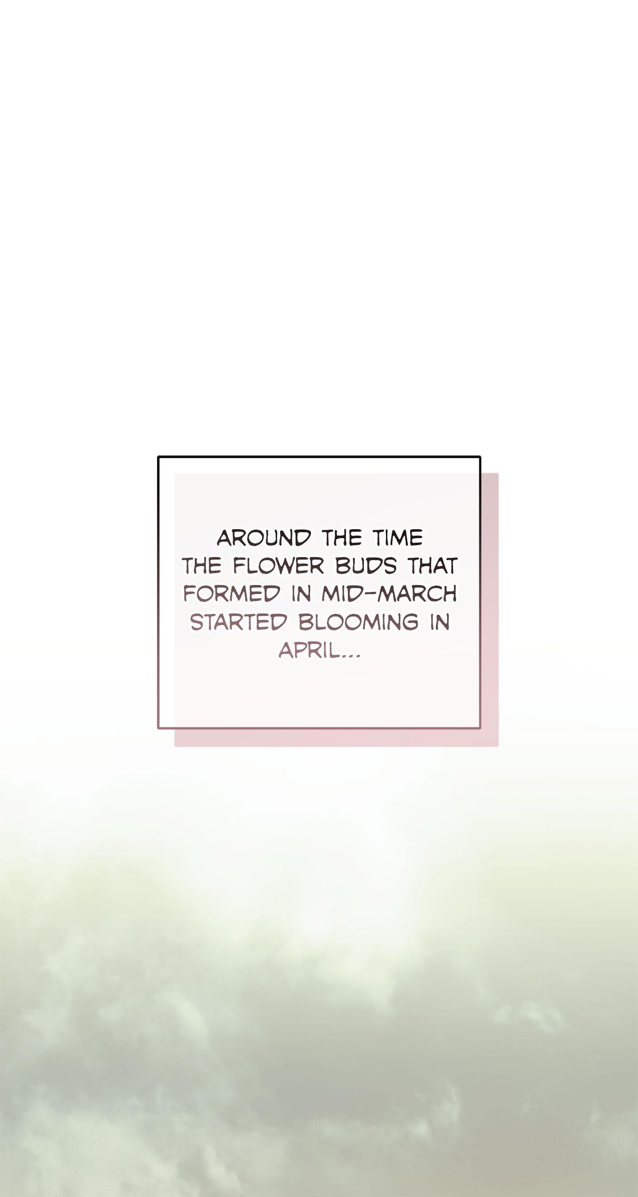 Read My Husband Who Hates Me Has Lost His Memories Manga Online