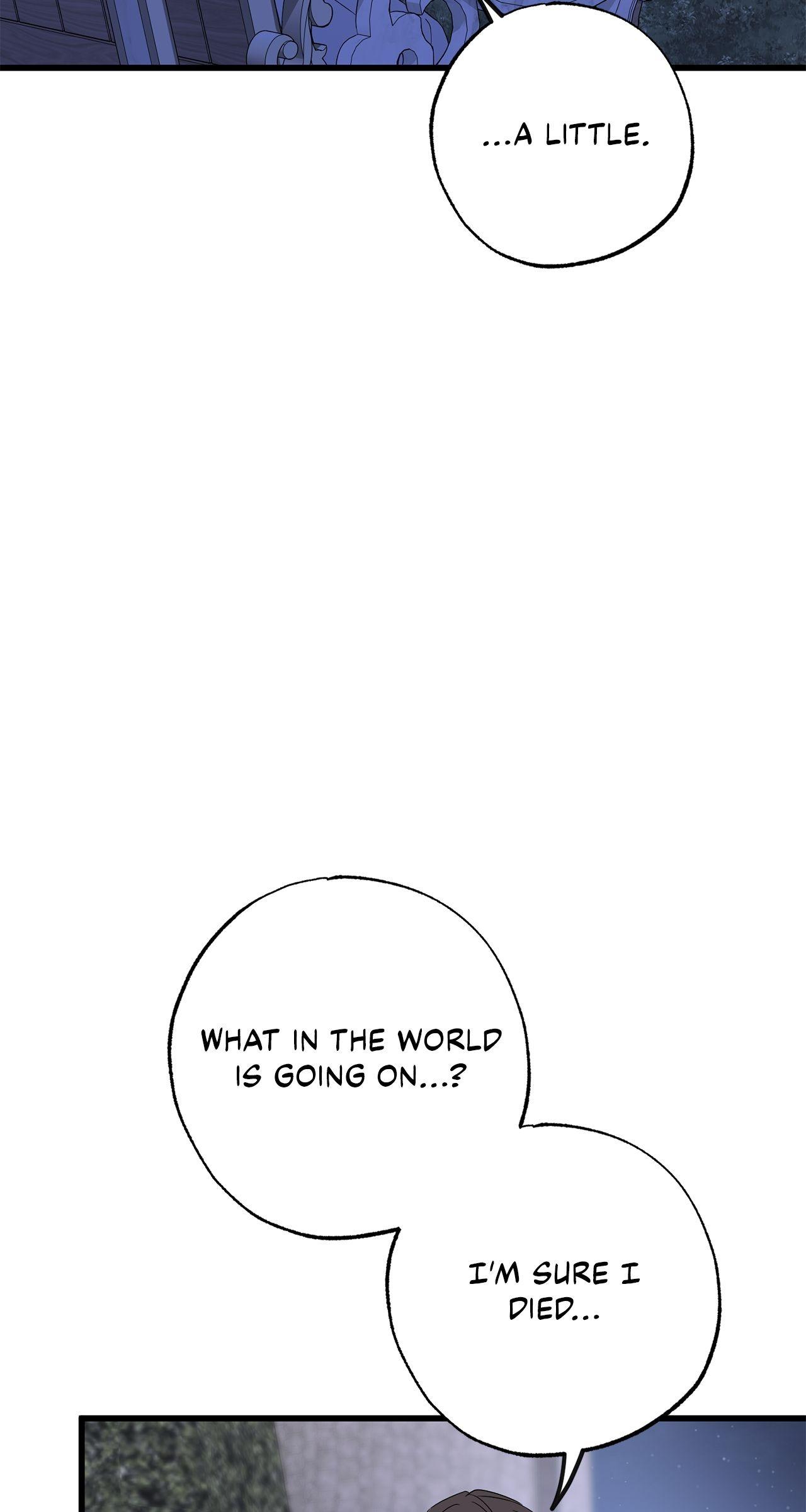 Read My Husband Who Hates Me Has Lost His Memories Manga Online