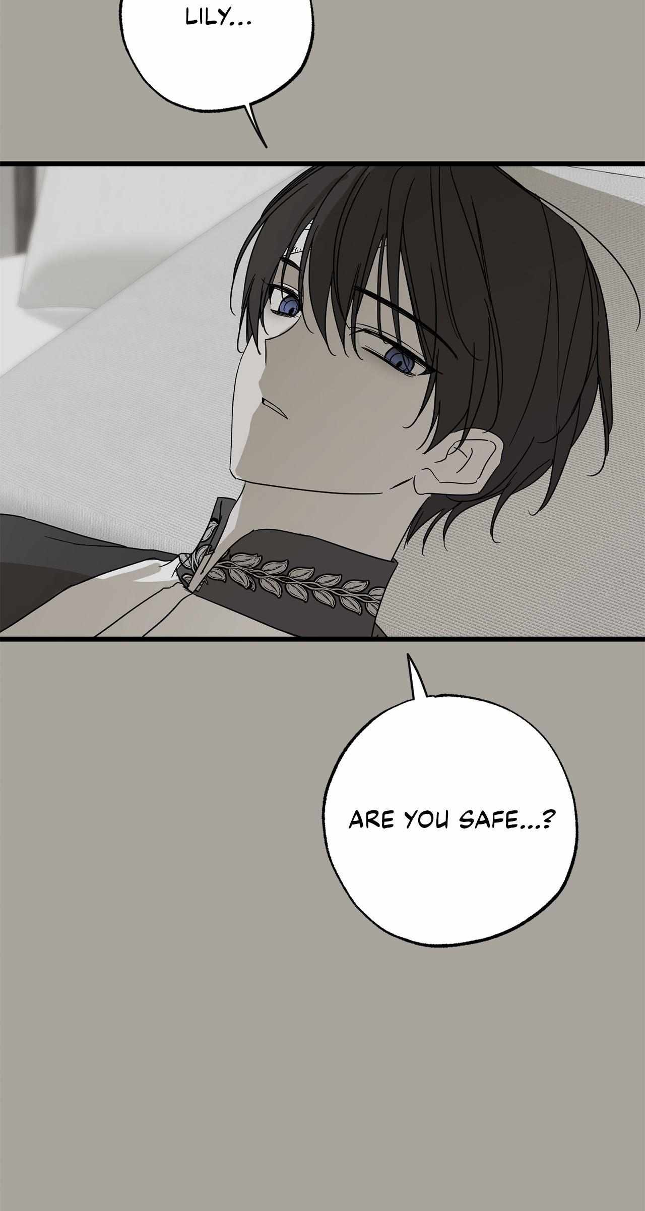 Read My Husband Who Hates Me Has Lost His Memories Manga Online