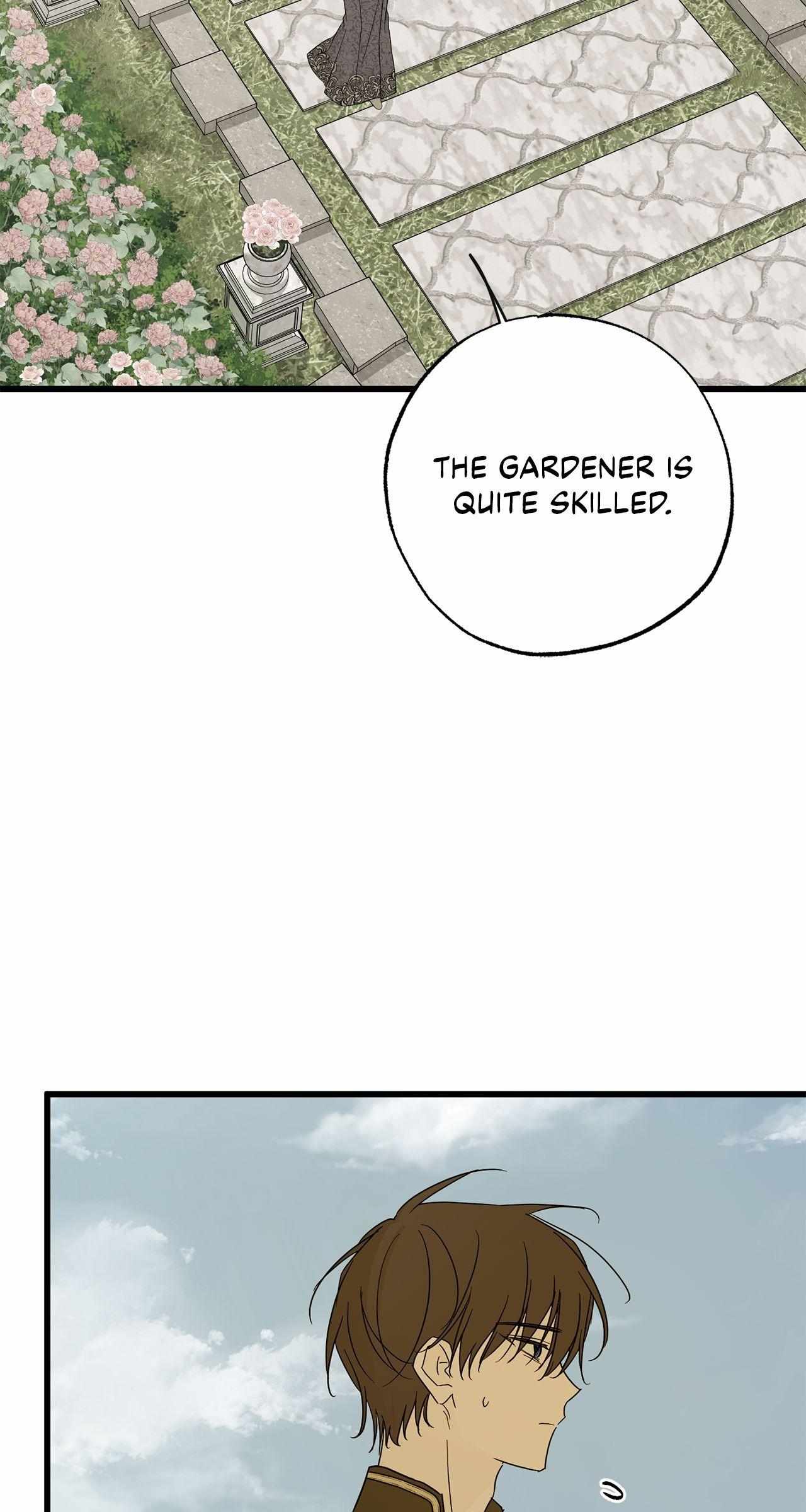 Read My Husband Who Hates Me Has Lost His Memories Manga Online