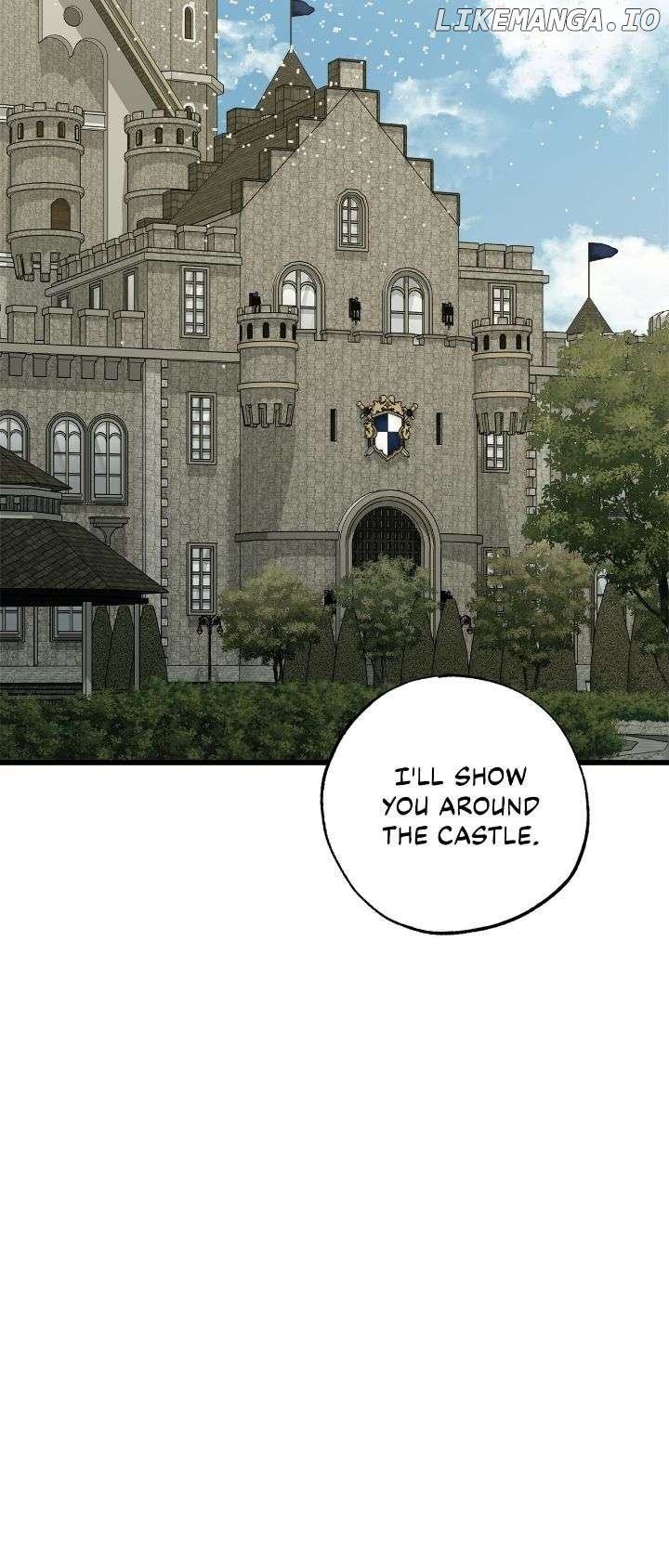 Read My Husband Who Hates Me Has Lost His Memories Manga Online