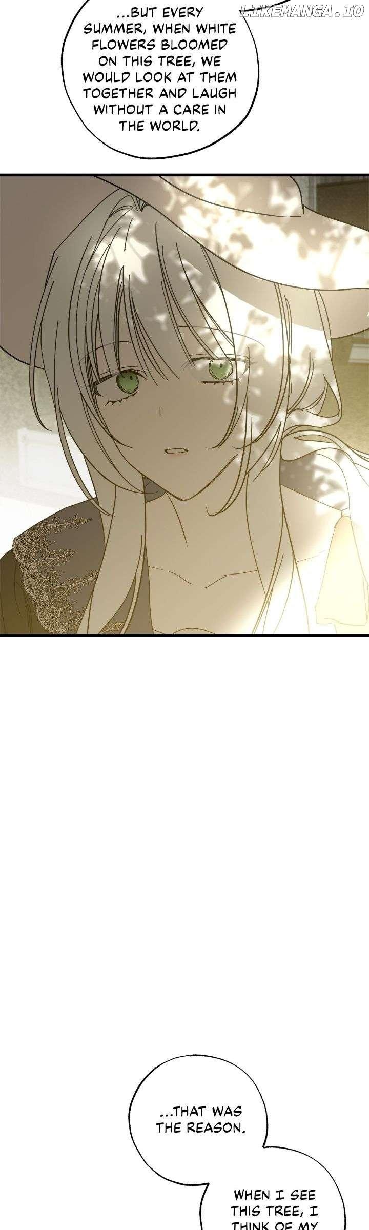 Read My Husband Who Hates Me Has Lost His Memories Manga Online