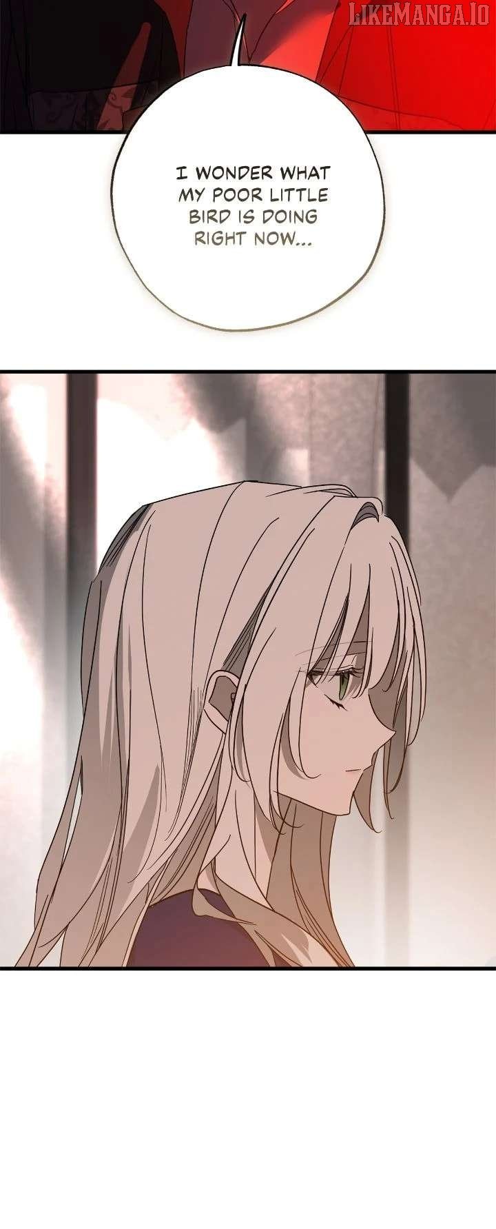 Read My Husband Who Hates Me Has Lost His Memories Manga Online