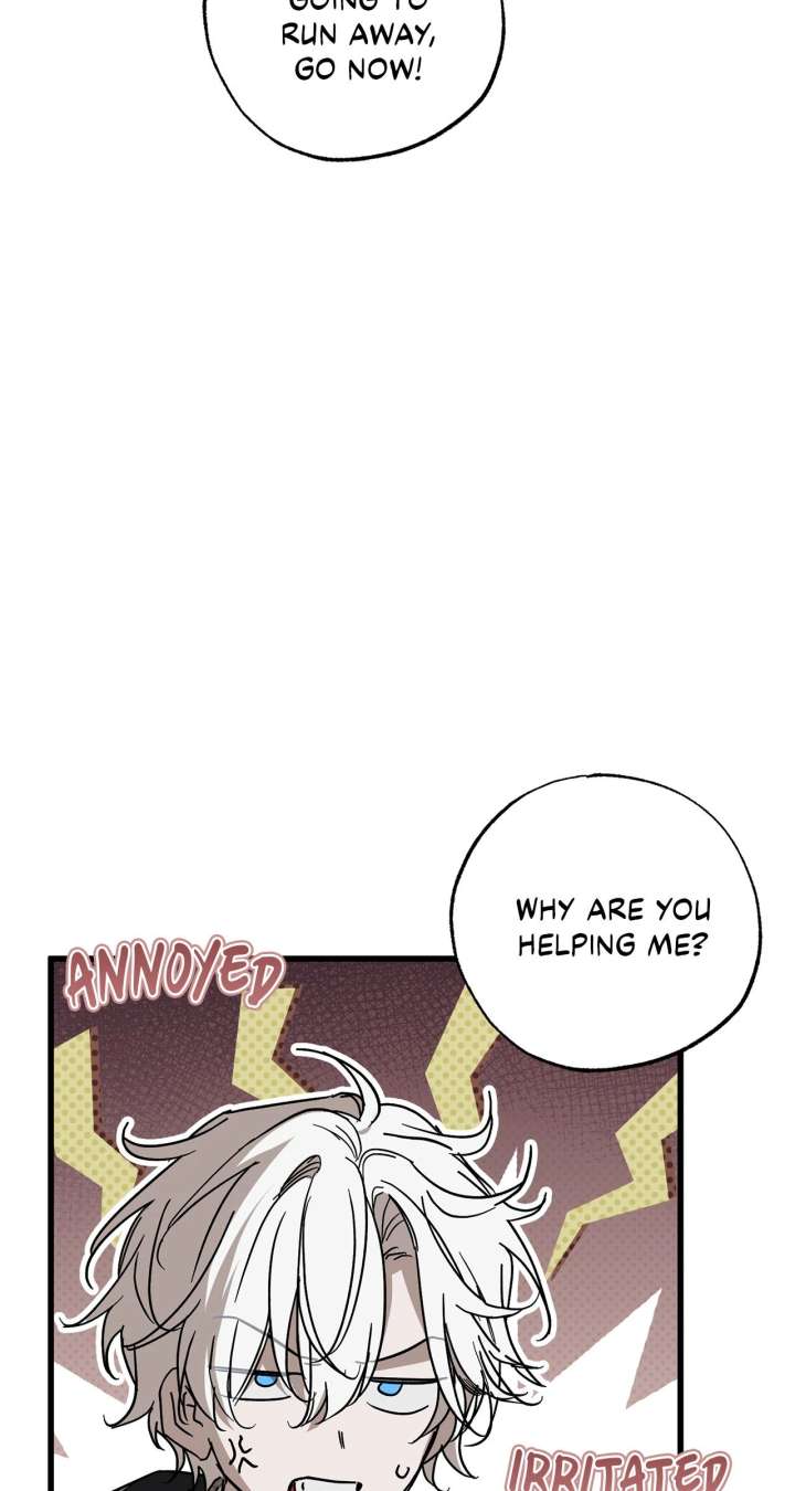 Read My Husband Who Hates Me Has Lost His Memories Manga Online