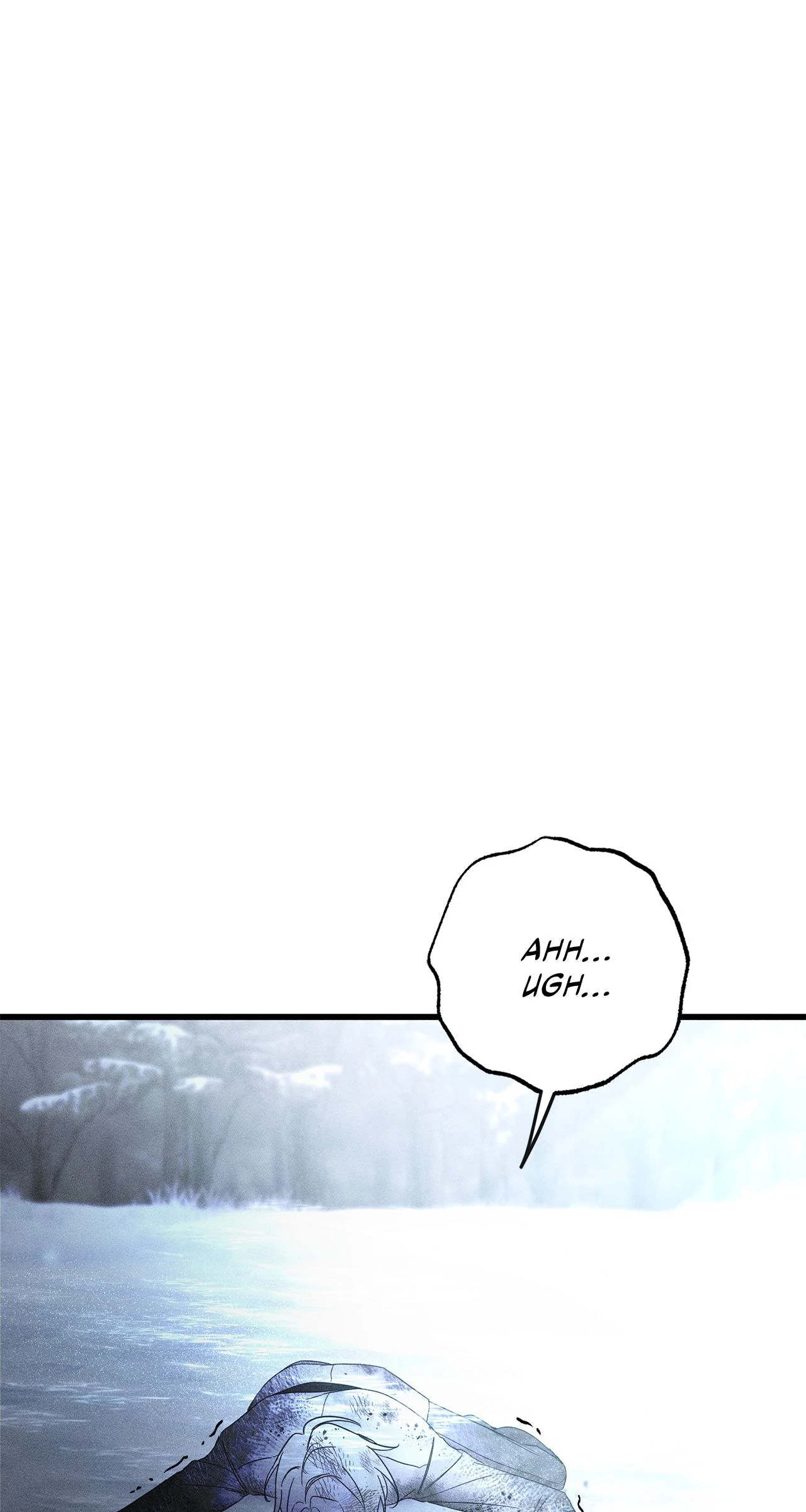 Read My Husband Who Hates Me Has Lost His Memories Manga Online