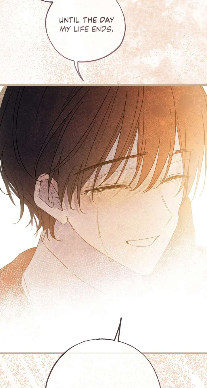 Read My Husband Who Hates Me Has Lost His Memories Manga Online