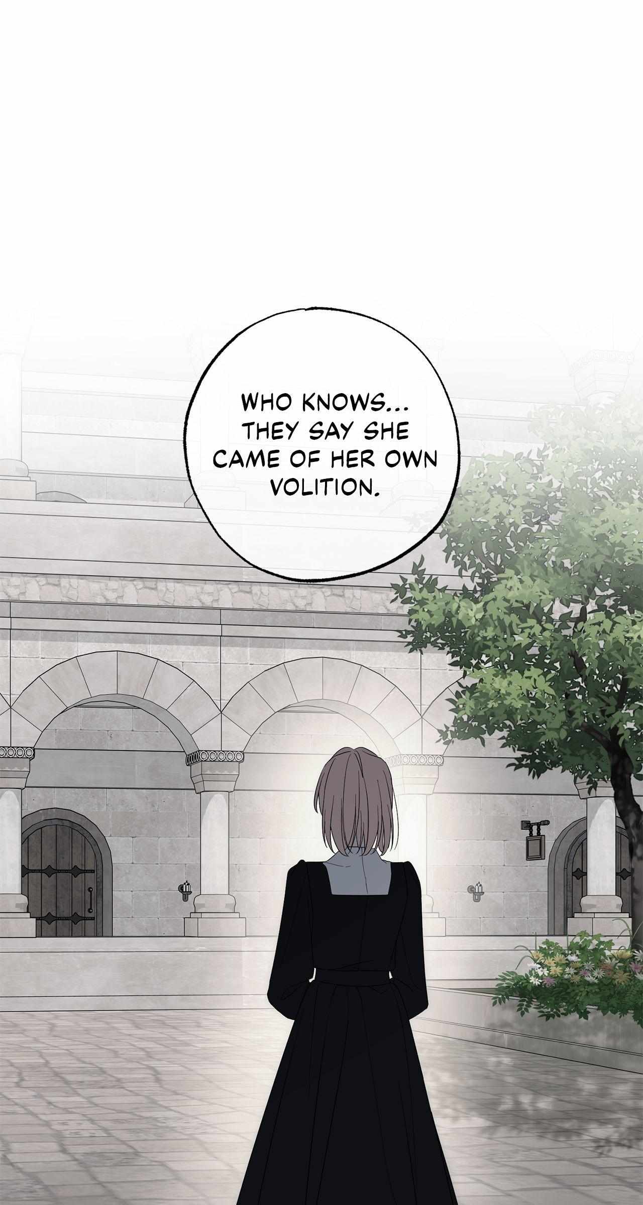 Read My Husband Who Hates Me Has Lost His Memories Manga Online