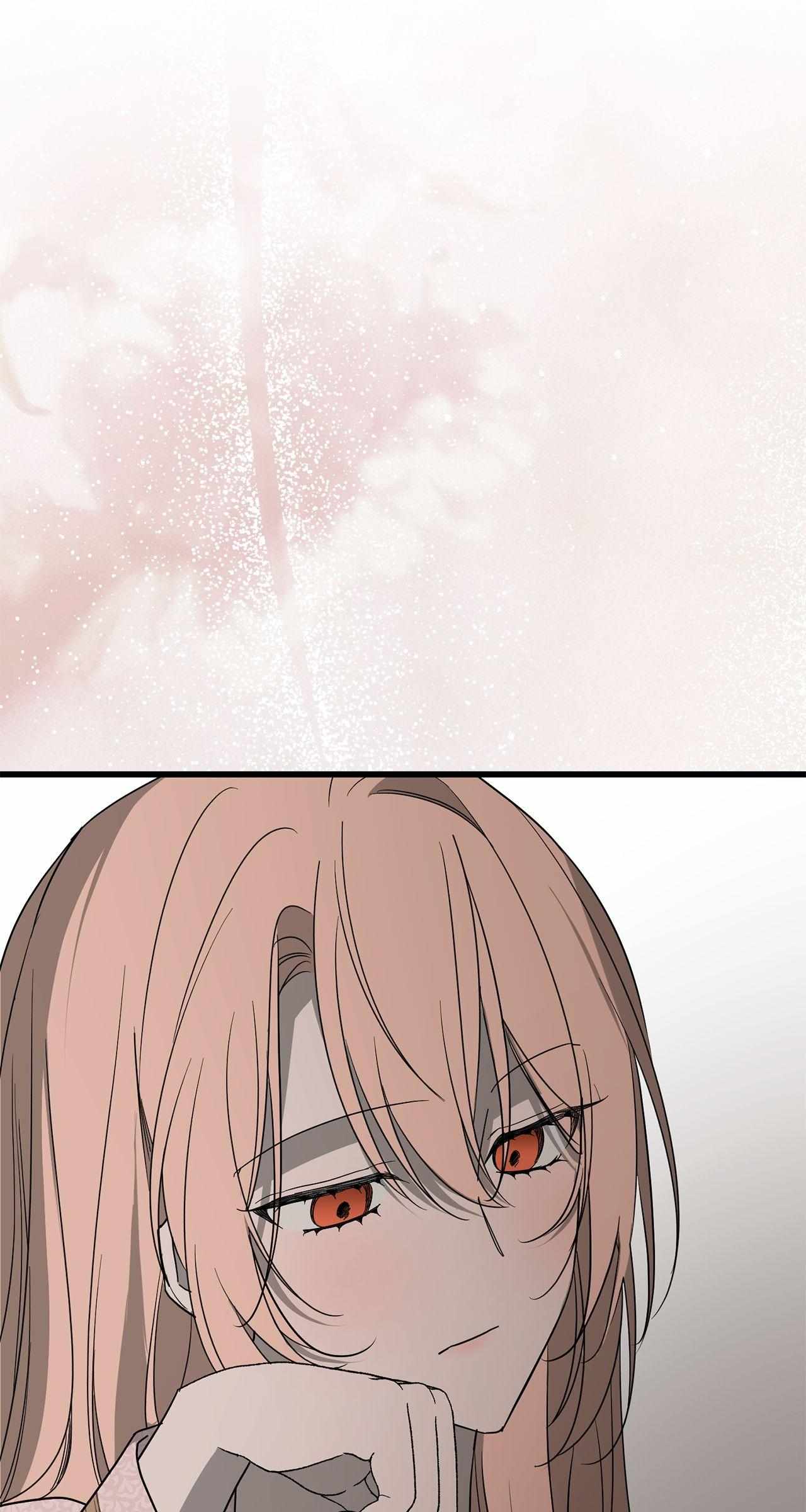 Read My Husband Who Hates Me Has Lost His Memories Manga Online