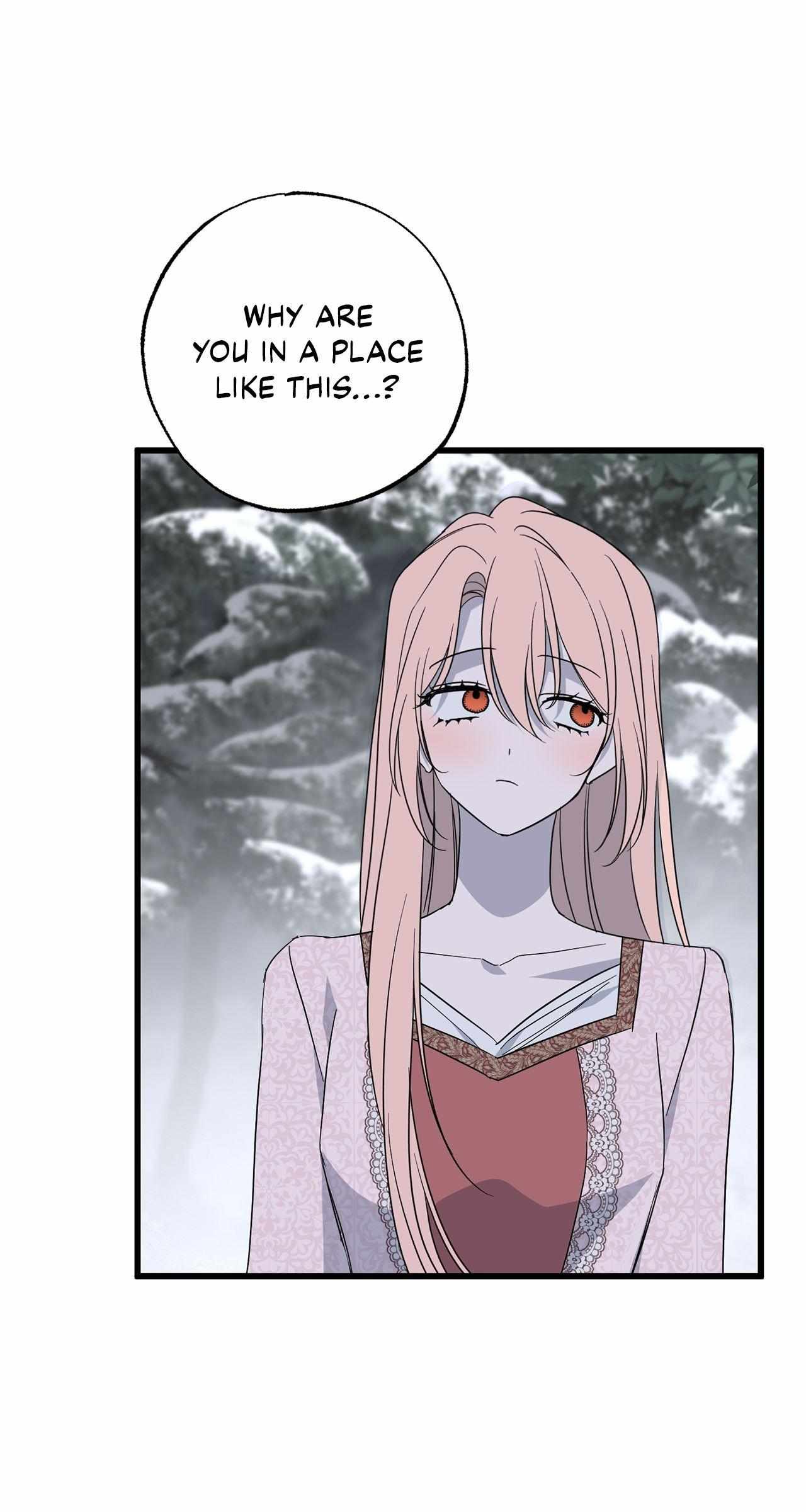 Read My Husband Who Hates Me Has Lost His Memories Manga Online