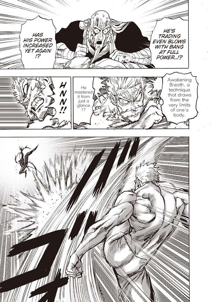 Read One Punch Man Manga Online