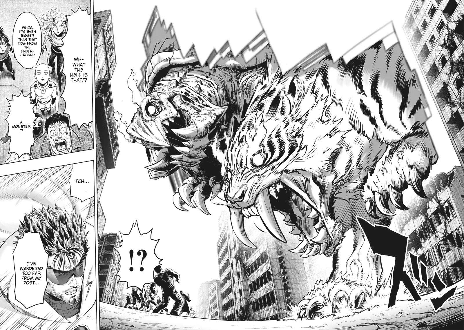 Read One Punch Man Manga Online