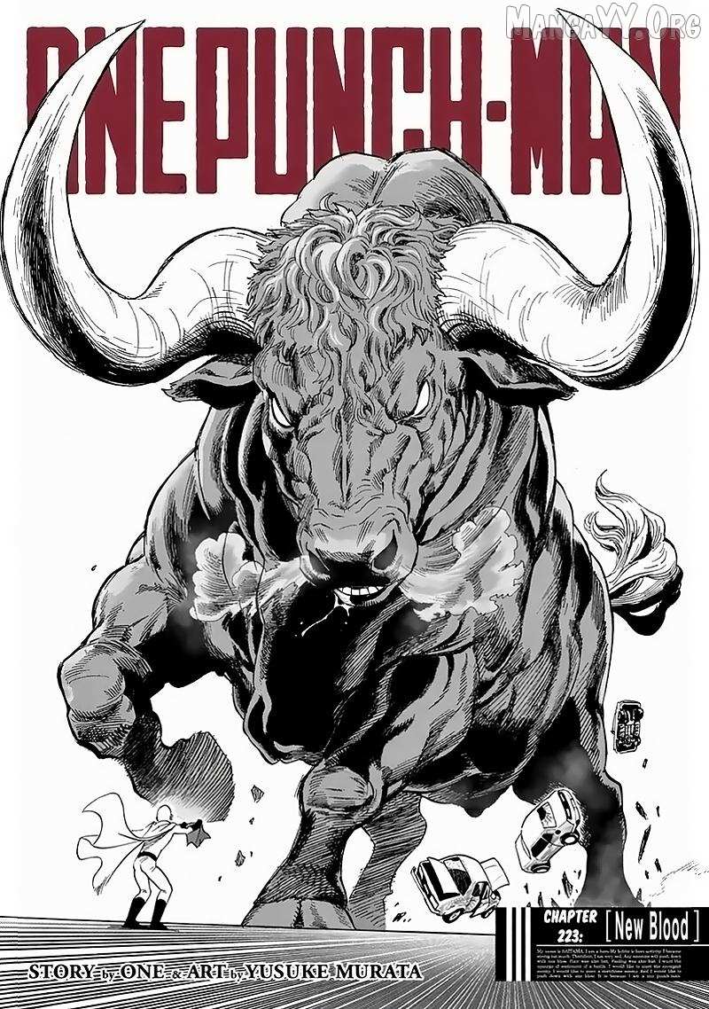 Read One Punch Man Manga Online