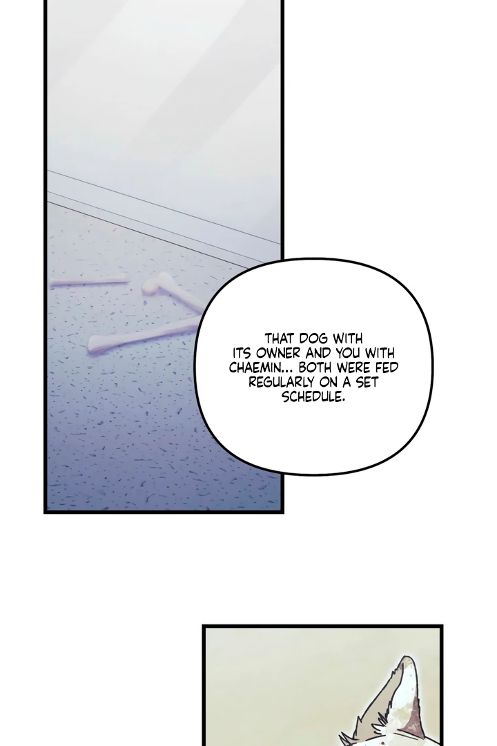 Read Please Shoot Me Manga Online