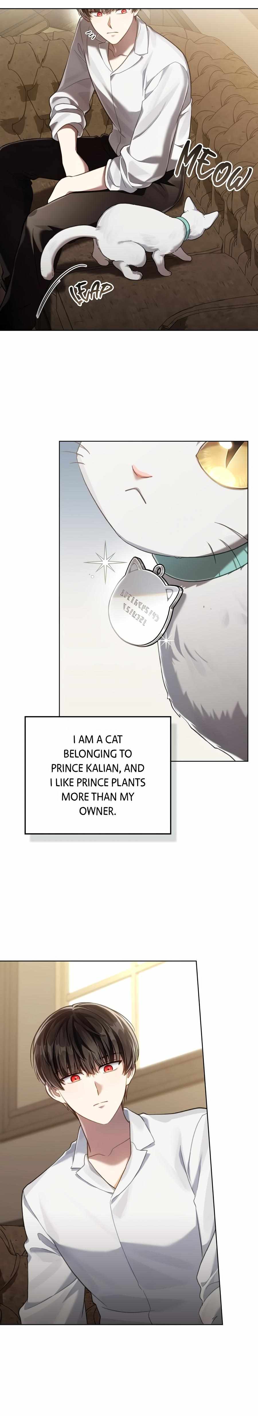 Read Reborn as the Enemy Prince Manga Online