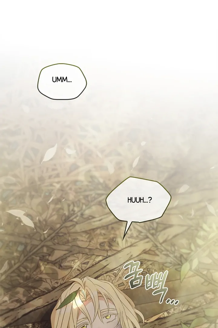 Read Regas Manga Online