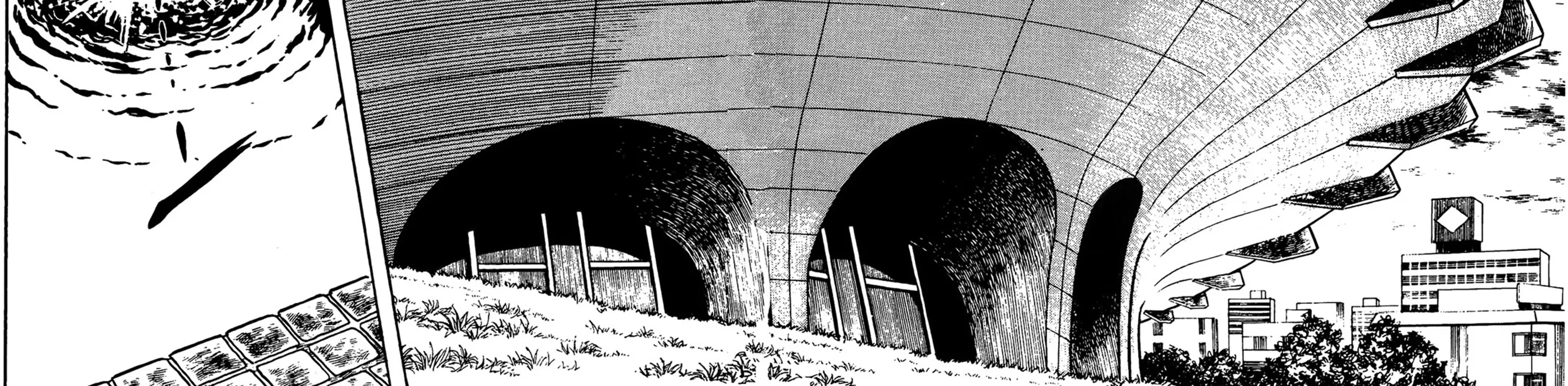 Read Ring ni Kakero Manga Online