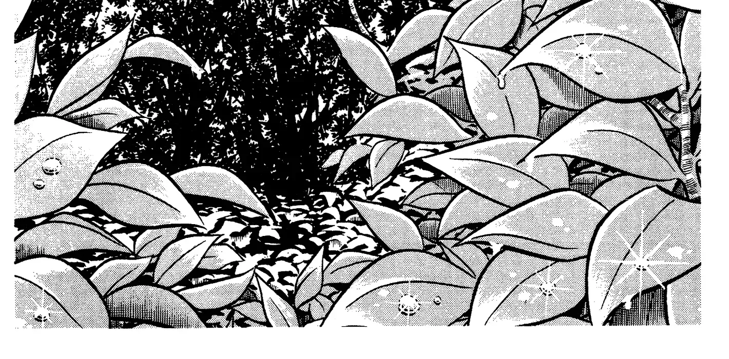 Read Ring ni Kakero Manga Online