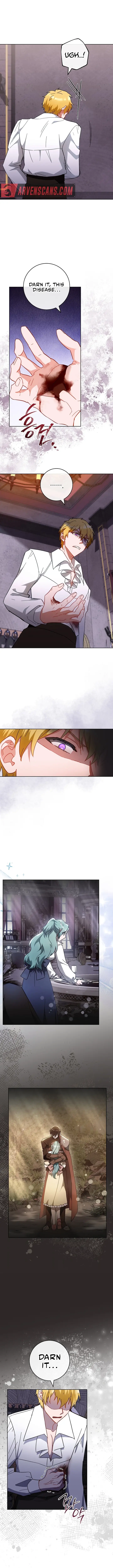 Read Royal Shop Of Young Lady Manga Online