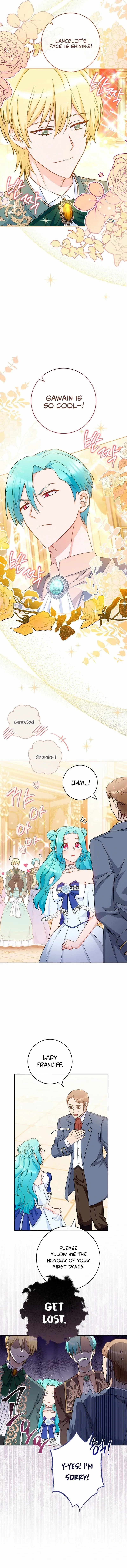 Read Royal Shop Of Young Lady Manga Online