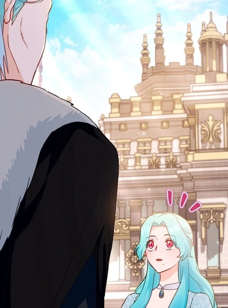 Read Royal Shop Of Young Lady Manga Online