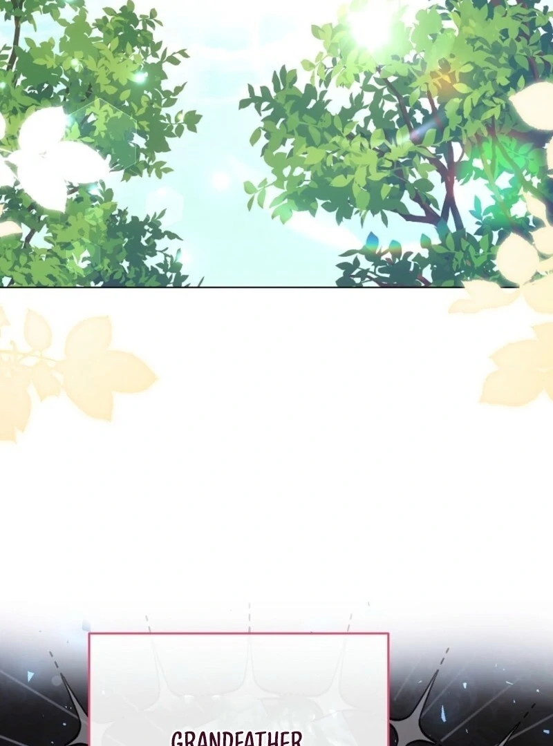Read Royal Shop Of Young Lady Manga Online