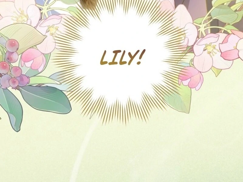 Read Royal Shop Of Young Lady Manga Online