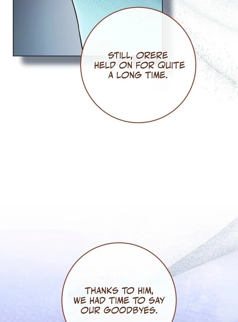Read Royal Shop Of Young Lady Manga Online