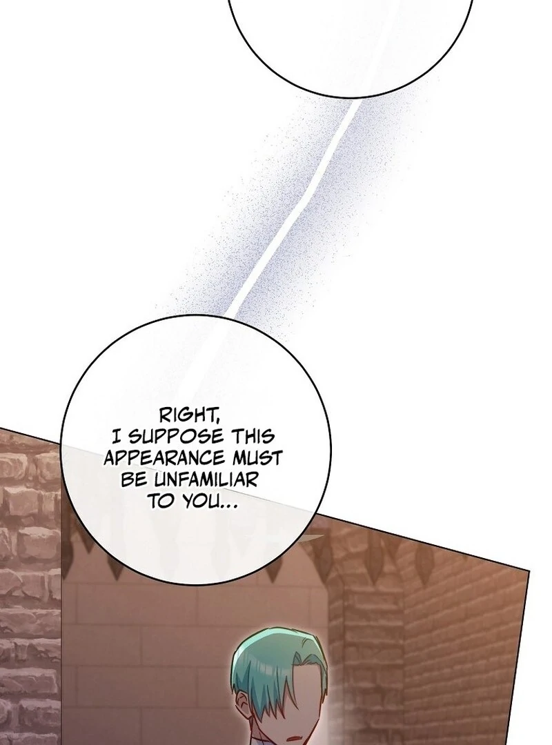 Read Royal Shop Of Young Lady Manga Online
