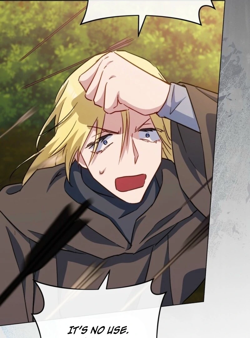 Read Royal Shop Of Young Lady Manga Online