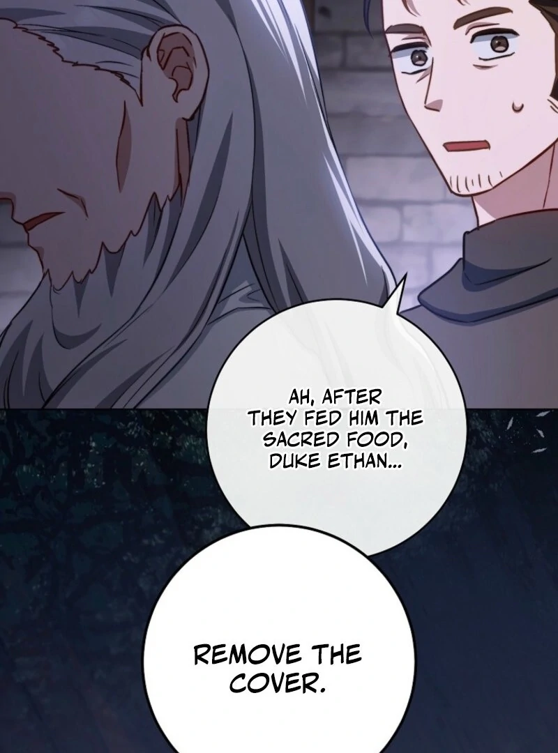 Read Royal Shop Of Young Lady Manga Online