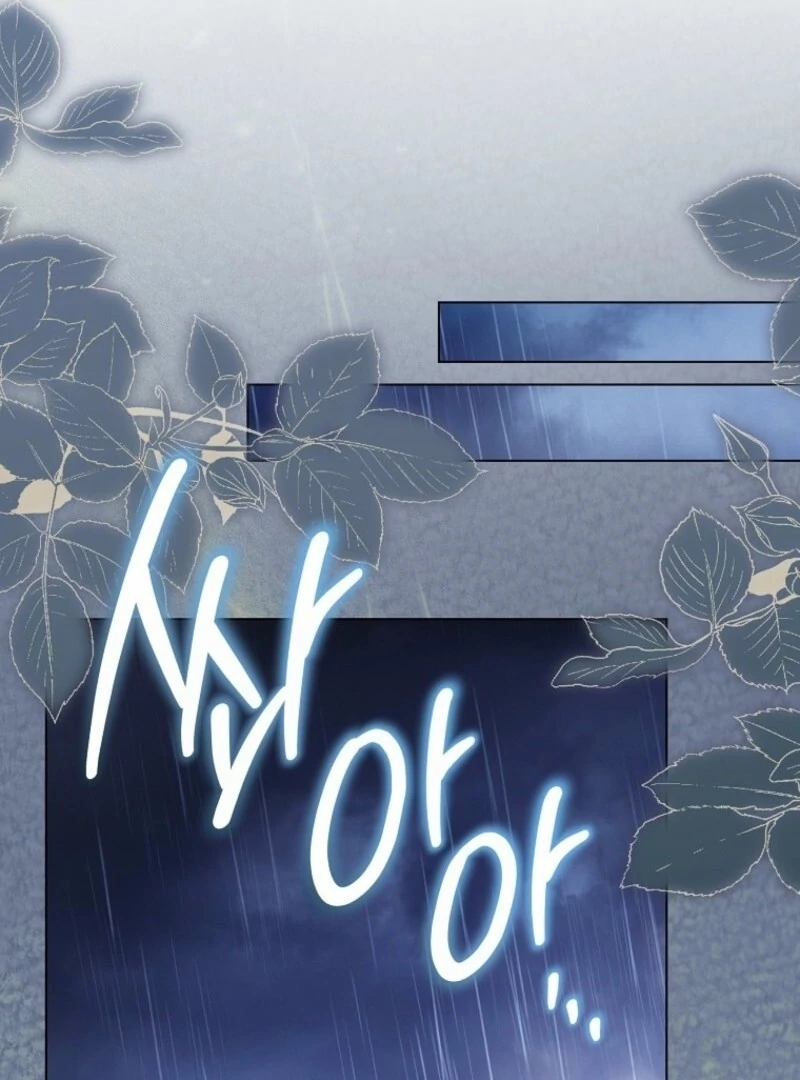 Read Royal Shop Of Young Lady Manga Online