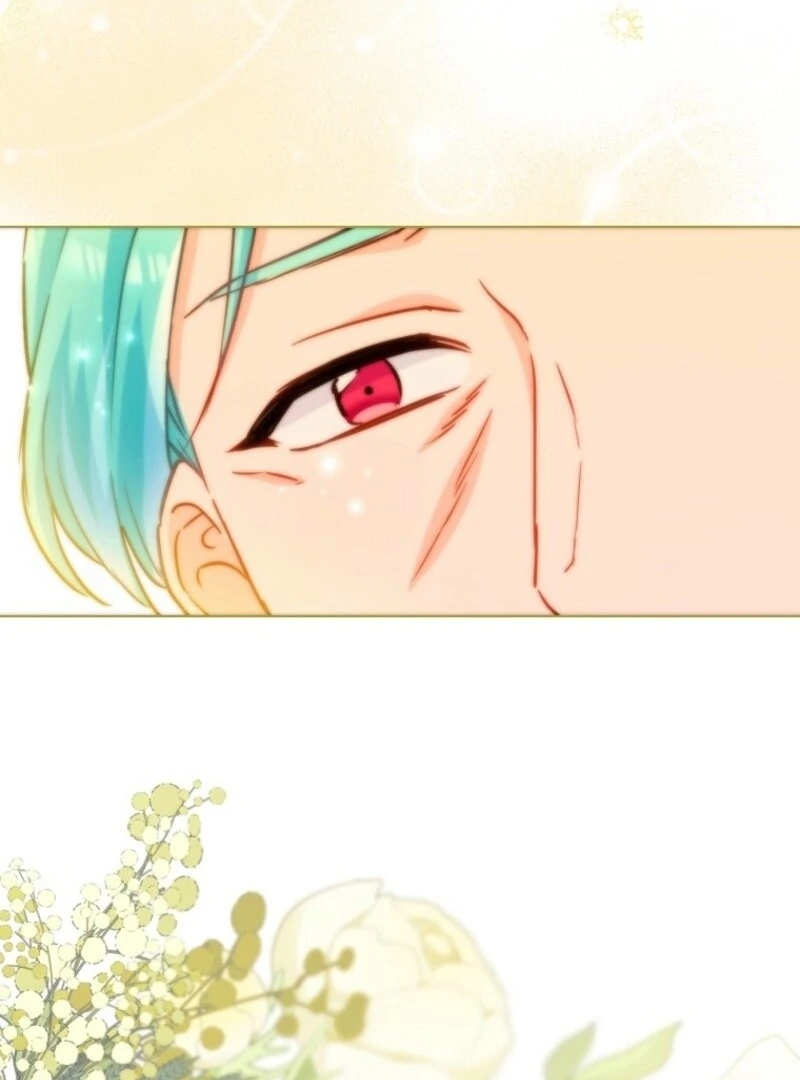 Read Royal Shop Of Young Lady Manga Online