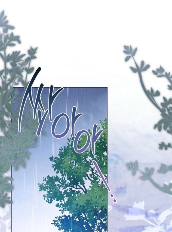 Read Royal Shop Of Young Lady Manga Online