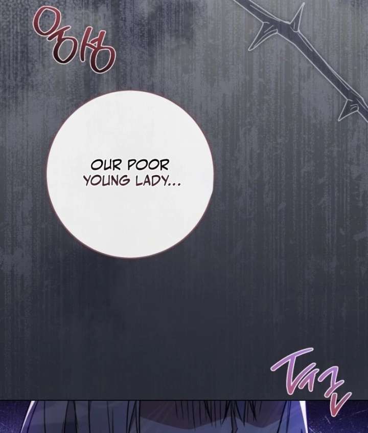 Read Royal Shop Of Young Lady Manga Online