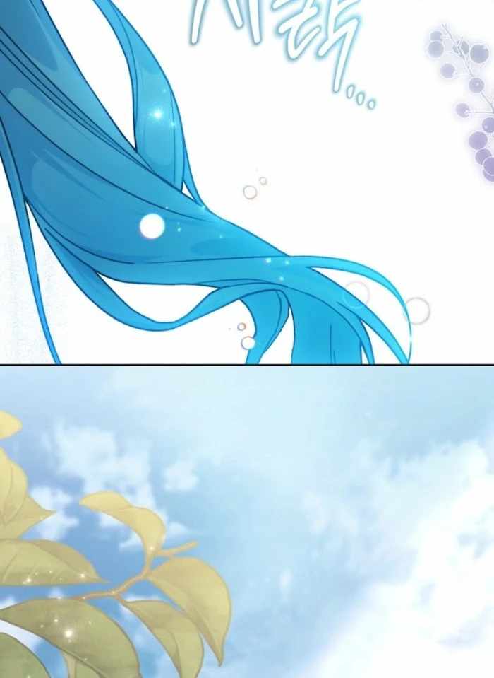 Read Royal Shop Of Young Lady Manga Online