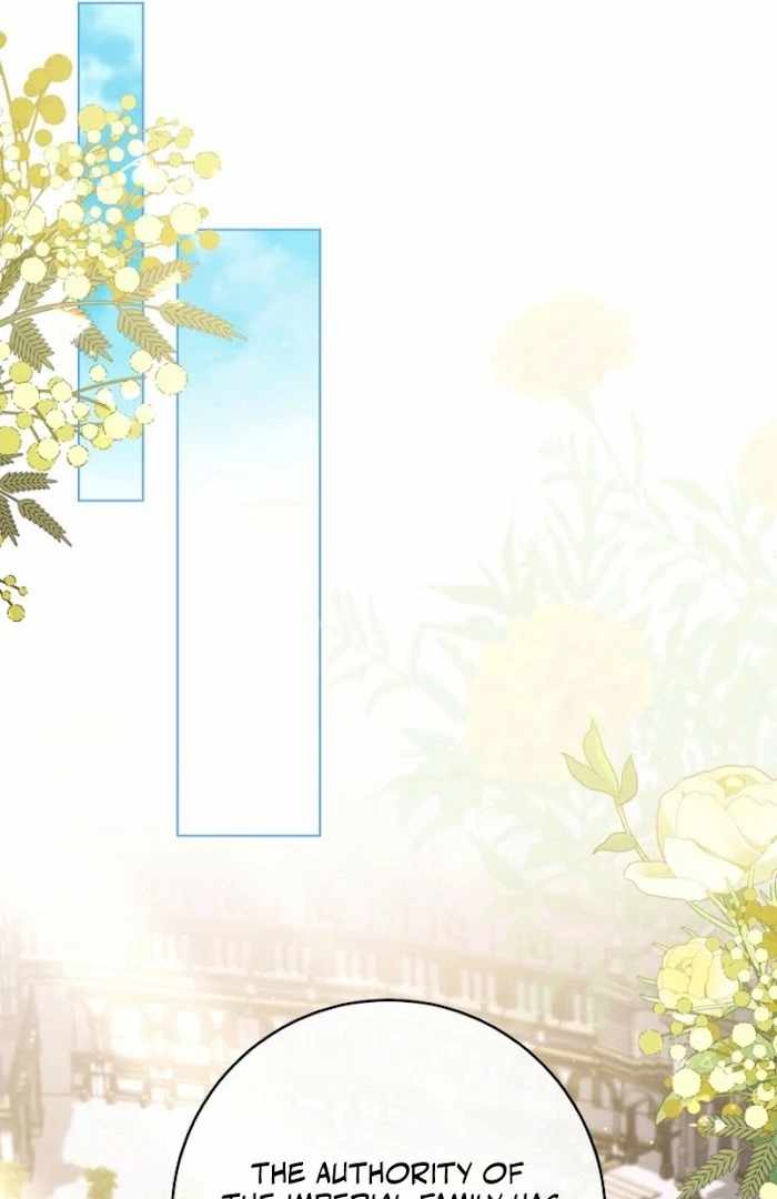 Read Royal Shop Of Young Lady Manga Online