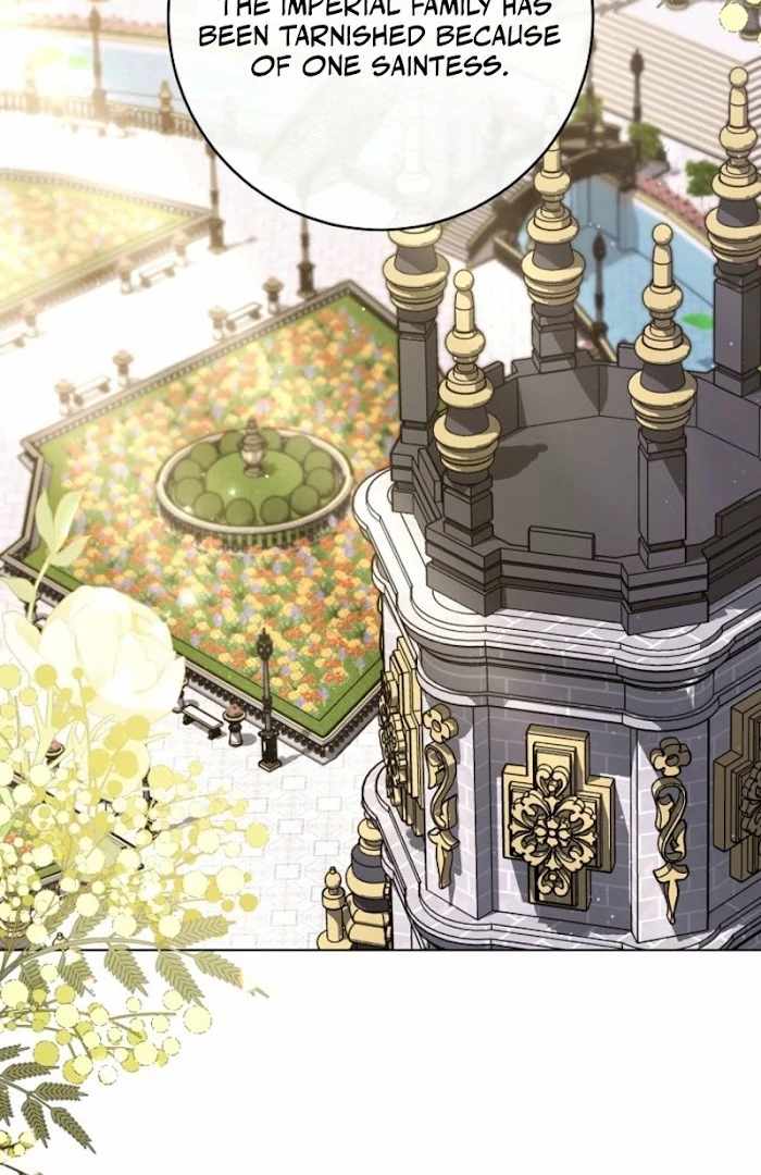 Read Royal Shop Of Young Lady Manga Online