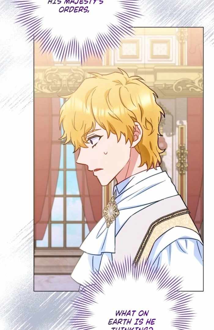 Read Royal Shop Of Young Lady Manga Online