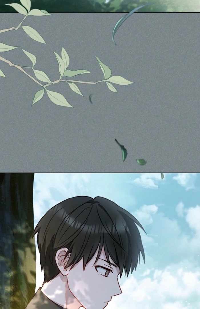 Read Royal Shop Of Young Lady Manga Online